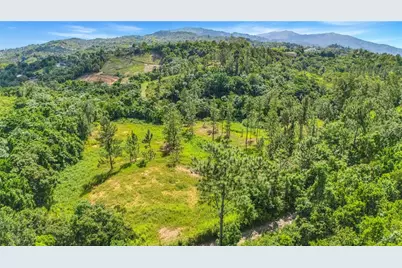 63 Sector Monticello, Cidra, PR 00739 - Photo 19