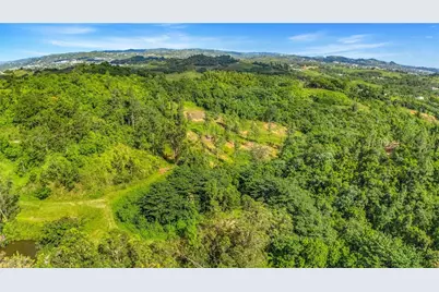 63 Sector Monticello, Cidra, PR 00739 - Photo 1