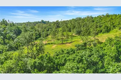 63 Sector Monticello, Cidra, PR 00739 - Photo 25