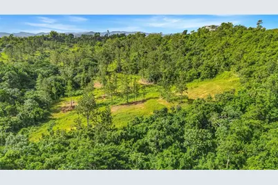 63 Sector Monticello, Cidra, PR 00739 - Photo 7
