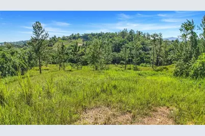 63 Sector Monticello, Cidra, PR 00739 - Photo 13