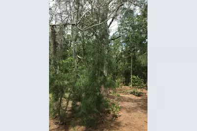 1250 Beach Road, Englewood, FL 34223 - Photo 13