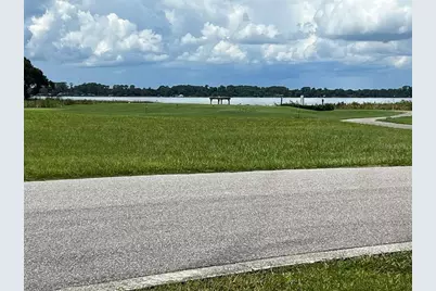 Sawgrass Run, Tavares, FL 32778 - Photo 3