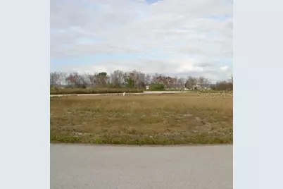 Sawgrass Run, Tavares, FL 32778 - Photo 1