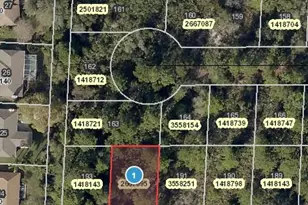 Park Forest Blvd, Mount Dora, FL 32757 - Photo 1