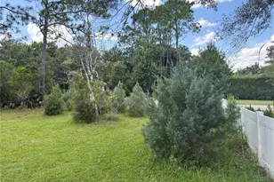 213 Riverbend Rd, Ormond Beach, FL 32174 - Photo 81