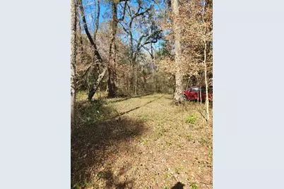 Sw Newark Drive, Fort White, FL 32038 - Photo 7