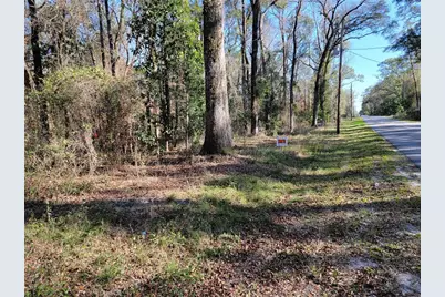 Sw Newark Drive, Fort White, FL 32038 - Photo 9