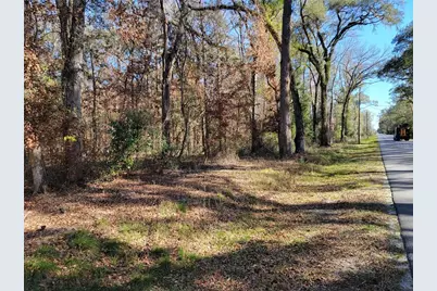 Sw Newark Drive, Fort White, FL 32038 - Photo 3