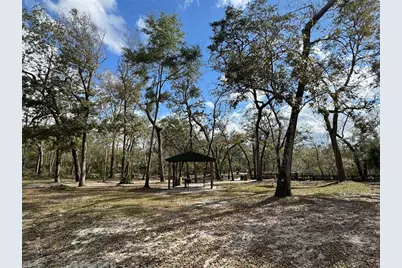 143rd Drive, O'Brien, FL 32071 - Photo 7