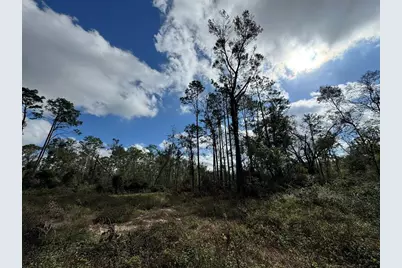 143rd Drive, O'Brien, FL 32071 - Photo 1