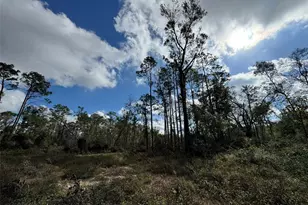 143rd Dr, O'Brien, FL 32071 - Photo 1