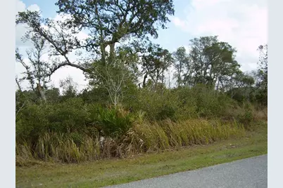 1603 Pickerel Court, Kissimmee, FL 34759 - Photo 3