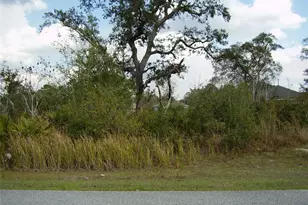 1603 Pickerel Ct, Kissimmee, FL 34759 - Photo 1