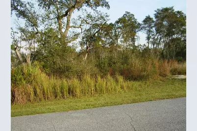 1603 Pickerel Court, Kissimmee, FL 34759 - Photo 7