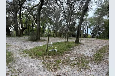 Chameleon Road, Pierson, FL 32180 - Photo 3