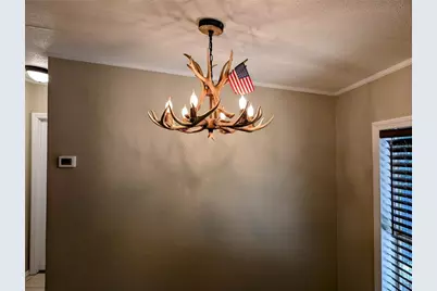 47410 Turkey Road, Altoona, FL 32702 - Photo 9