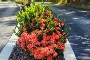 22481 Westchester Blvd, Punta Gorda, FL 33980 - Photo 3