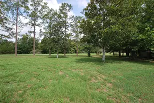 35807 Nova Ln, Eustis, FL 32736 - Photo 43