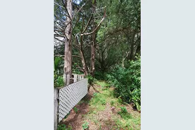 35807 Nova Lane, Eustis, FL 32736 - Photo 39