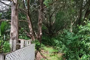 35807 Nova Ln, Eustis, FL 32736 - Photo 39