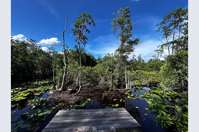 15401 Co Rd 450, Umatilla, FL 32784 - Photo 9