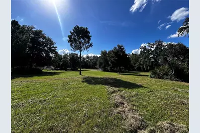 15401 Co Rd 450, Umatilla, FL 32784 - Photo 3