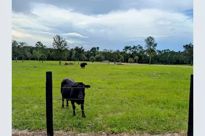 Peterson Road, Pierson, FL 32180 - Photo 5