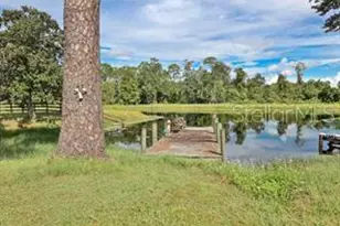 504 Raulerson Rd, Seville, FL 32190 - Photo 9