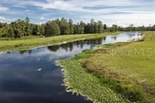 504 Raulerson Rd, Seville, FL 32190 - Photo 3