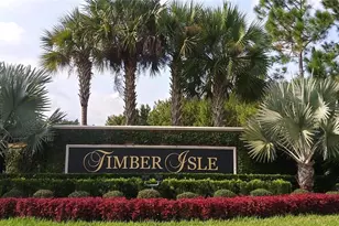 856 Timber Isle Dr, Orlando, FL 32828 - Photo 43