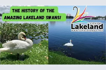 Emma Street W, Lakeland, FL 33815 - Photo 27