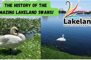 Emma Street W, Lakeland, FL 33815 - Photo 27