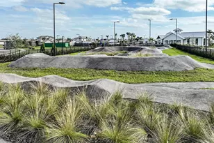 17551 Savory Mist Cir, Lakewood Ranch, FL 34211 - Photo 7