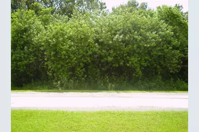 321 Caen Court, Kissimmee, FL 34759 - Photo 5