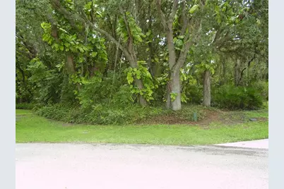 410 Anise Place, Kissimmee, FL 34759 - Photo 1