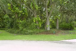 410 Anise Pl, Kissimmee, FL 34759 - Photo 1