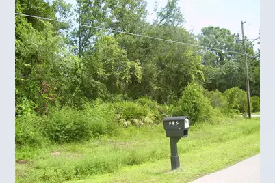 431 Dove Drive, Kissimmee, FL 34759 - Photo 3