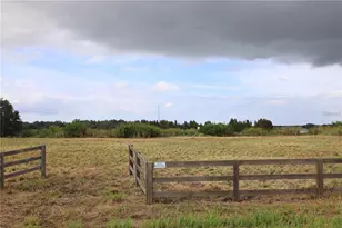 1700 Old Brewster Rd, Fort Meade, FL 33841 - Photo 1