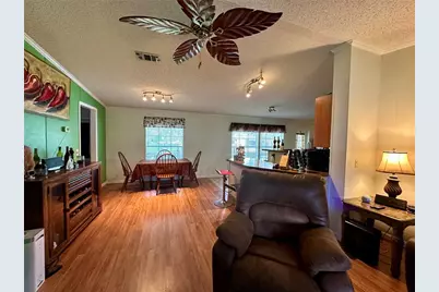 56233 Water Oak Road, Astor, FL 32102 - Photo 9