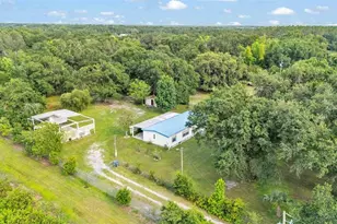 7008 County Line Rd, Mulberry, FL 33860 - Photo 5