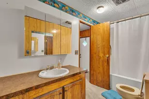 7008 County Line Rd, Mulberry, FL 33860 - Photo 43