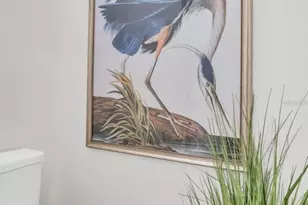 7939 Chandler Lk Ct, Hudson, FL 34667 - Photo 33