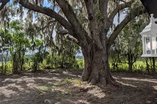 12022 SE Sunset Harbor Rd, Weirsdale, FL 32195 - Photo 17