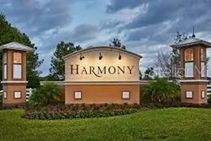 3526 Sebastian Bridge Ln, Harmony, FL 34773 - Photo 31