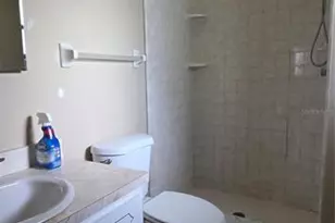 40116 Parkinsonia St, Lady Lake, FL 32159 - Photo 9