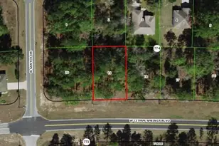 1695 W Citrus Springs Blvd, Citrus Springs, FL 34434 - Photo 1