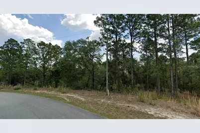 6681 N Waterman Drive, Dunnellon, FL 34433 - Photo 1