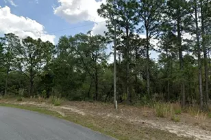 6681 N Waterman Dr, Dunnellon, FL 34433 - Photo 1