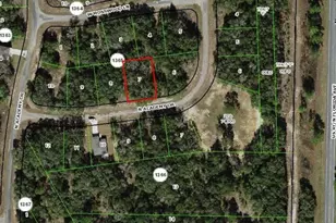 11151 N Academy Dr, Citrus Springs, FL 34434 - Photo 1